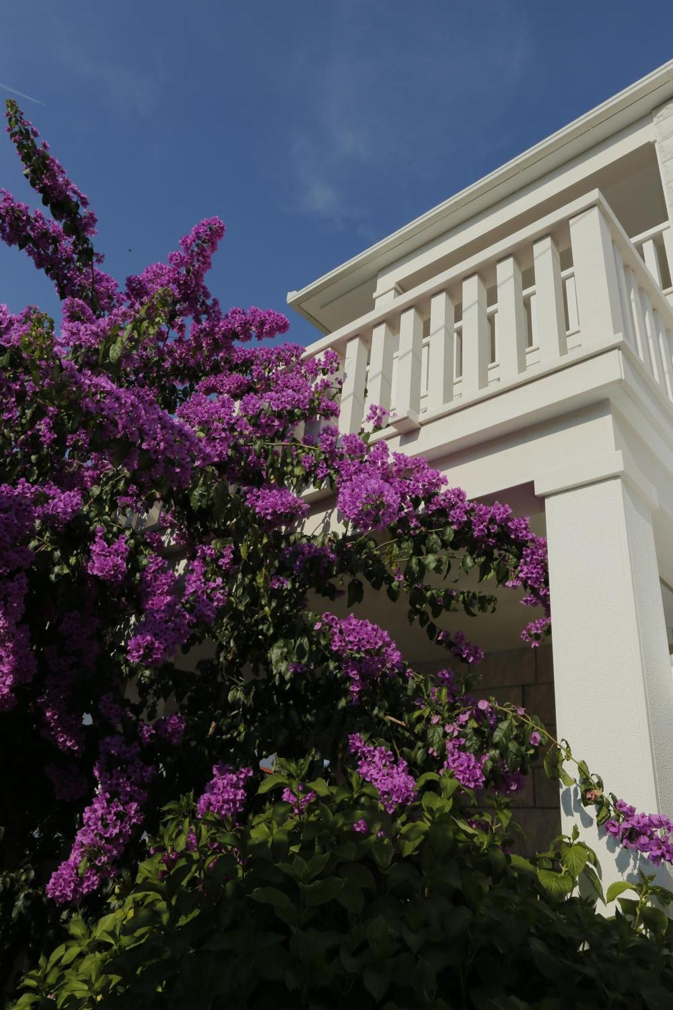 Apartments Marino Supetar Exterior photo